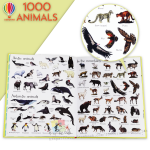 usborne 1000 animals-inside01
