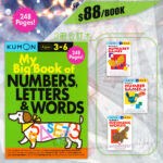 my big book of numbers letters & words