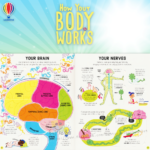 usborne lift the flap how your body works-inside01