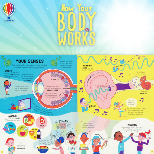 usborne lift the flap how your body works-inside02