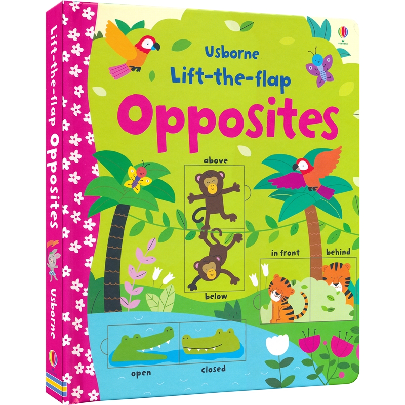 Usborne Lift-the-flap Opposites - Fun To Read Book Outlet 英文兒童 