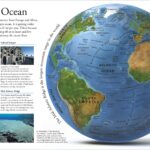 DK_OceanAChildren_sEncyclopedia inside 4