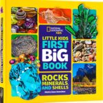 Little Kids First Big Book of Rocks, Minerals & Shells