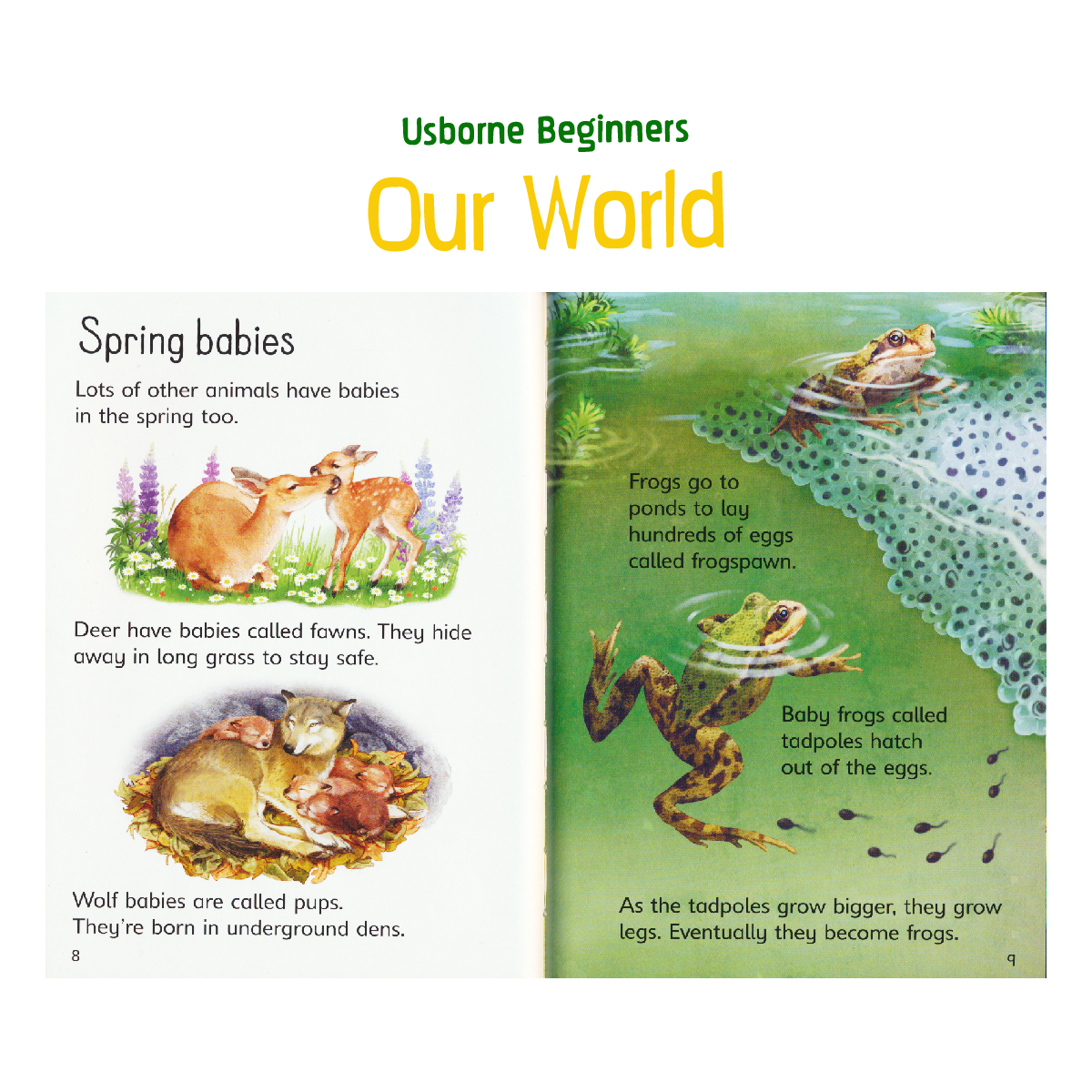 【Usborne】 Beginners Our World Collection Usborne Beginners - Our World Collection 10 Books Box Set