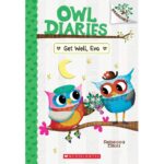 Owl Diaries #16 get well eva