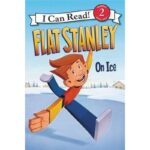 flat stanley on ice