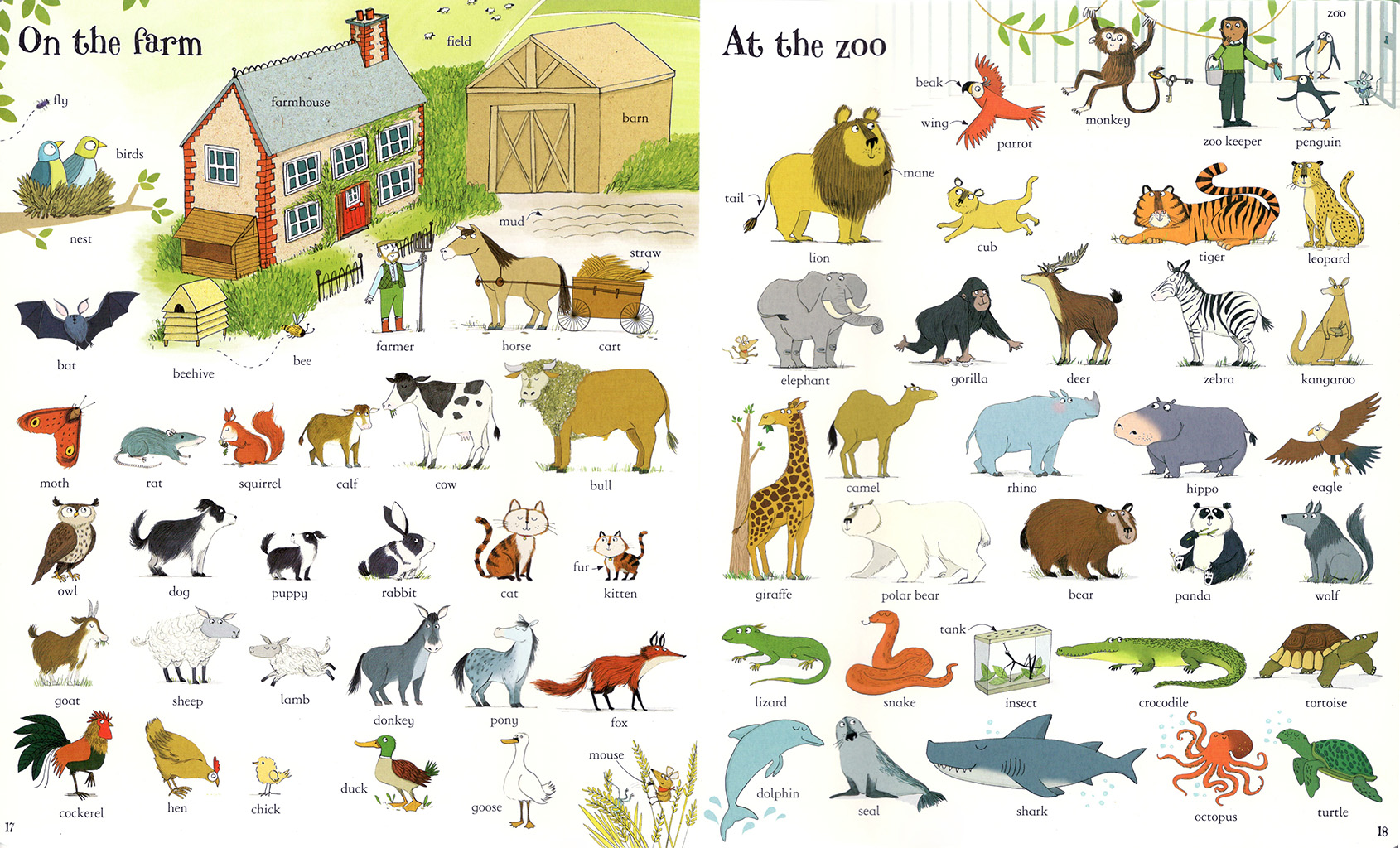 Big Book of English Words - Fun To Read Book Outlet