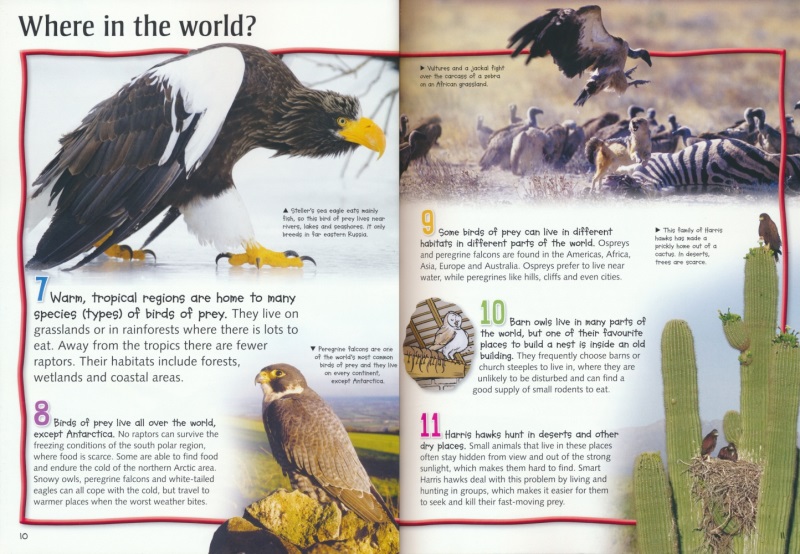 100 Facts Birds of Prey # 9781789895773 # 2
