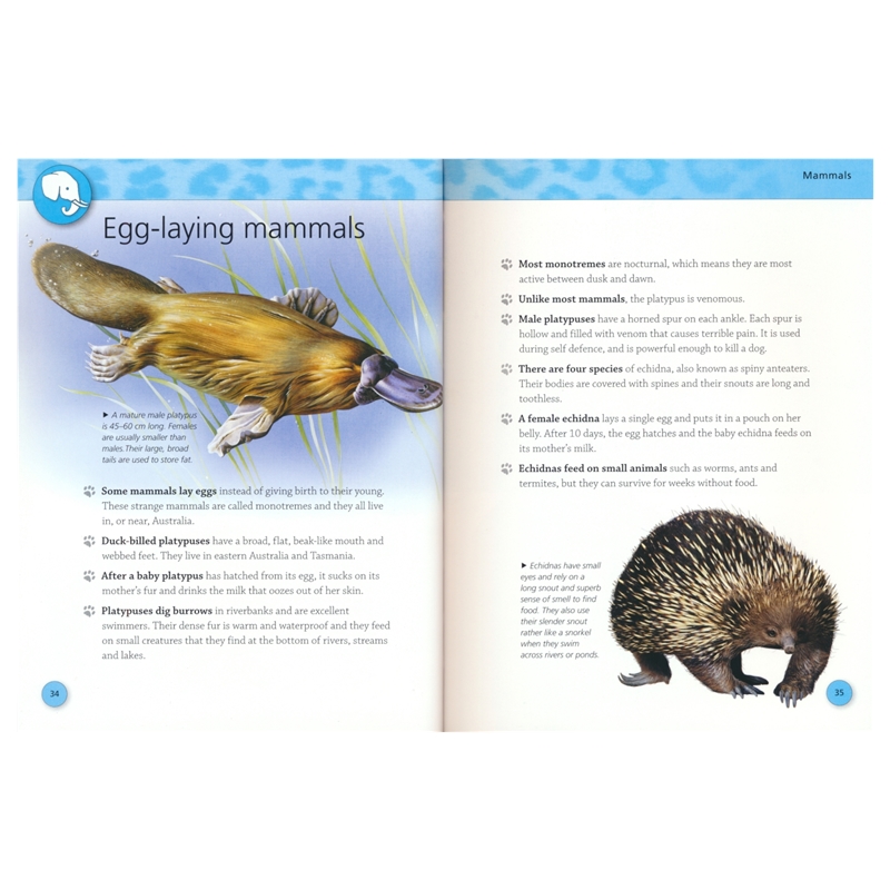 384 Pages – Encyclopedia of Animals # 9781786172419 # 次图5