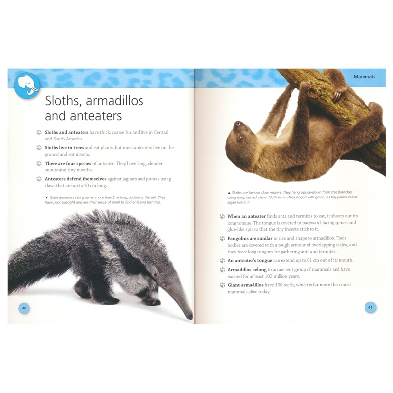 384 Pages – Encyclopedia of Animals # 9781786172419 # 次图6